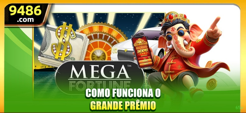 Programa VIP 65a