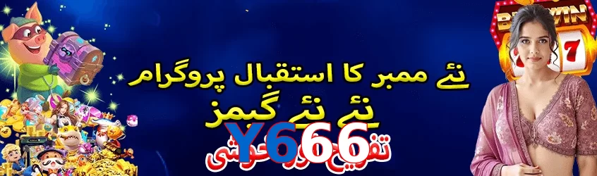 Y666 interface sample